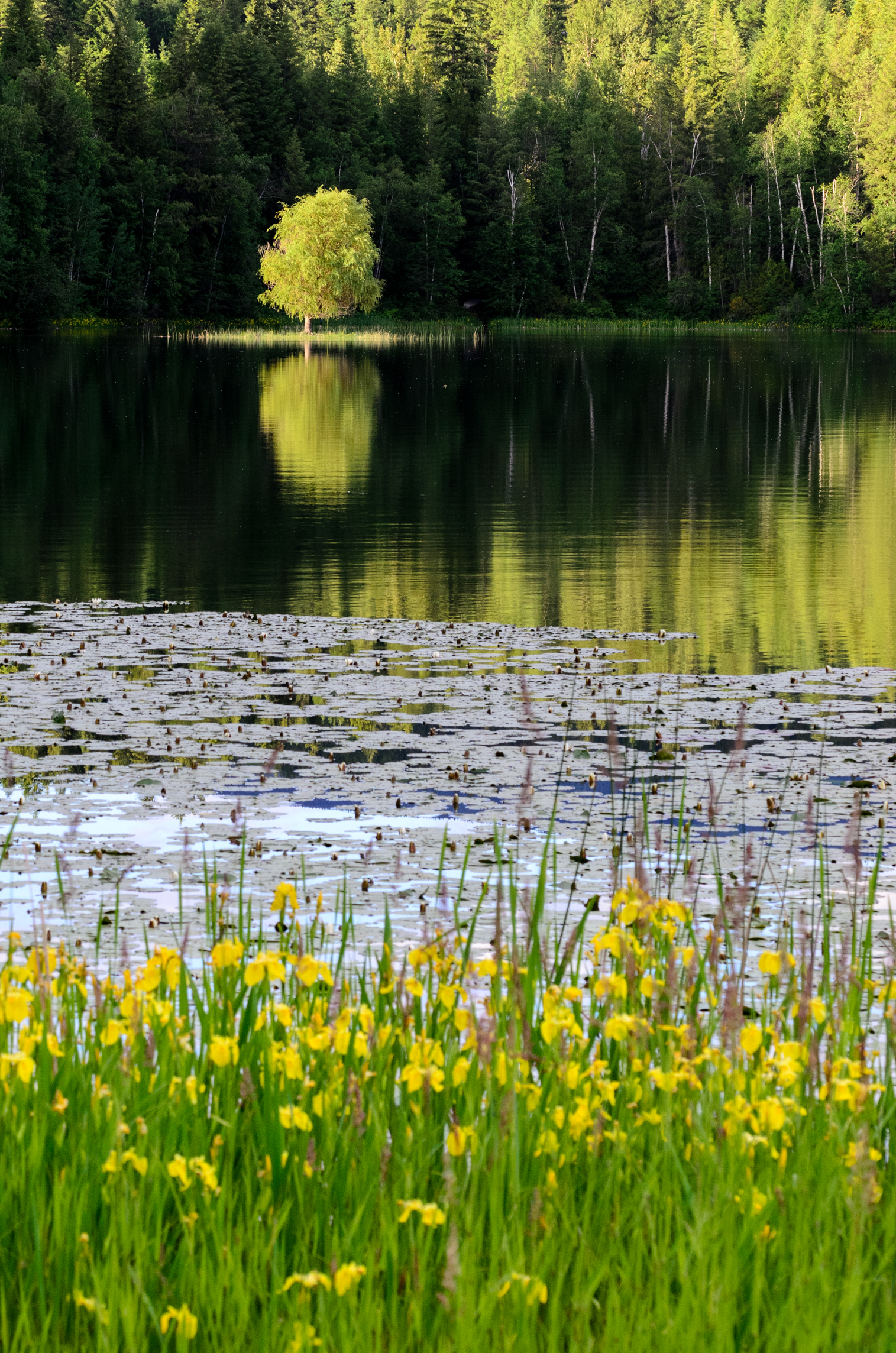 Dutch Lake, Clearwater, British Columbia