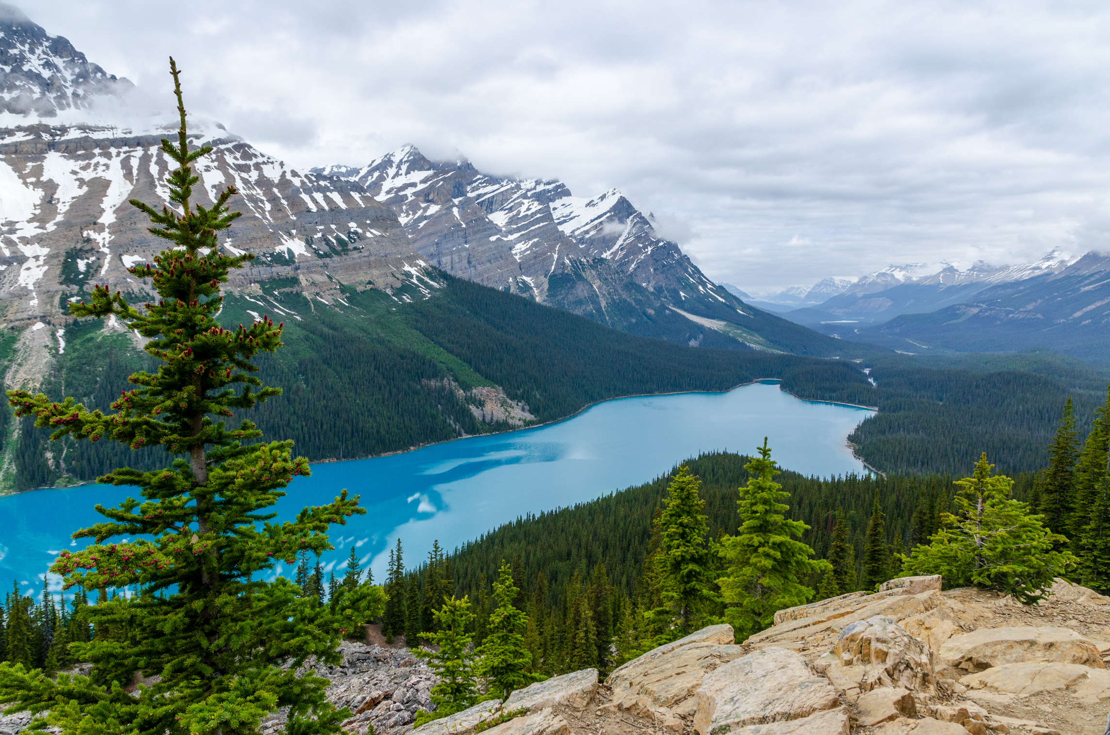 Peyto Lake, Alberta