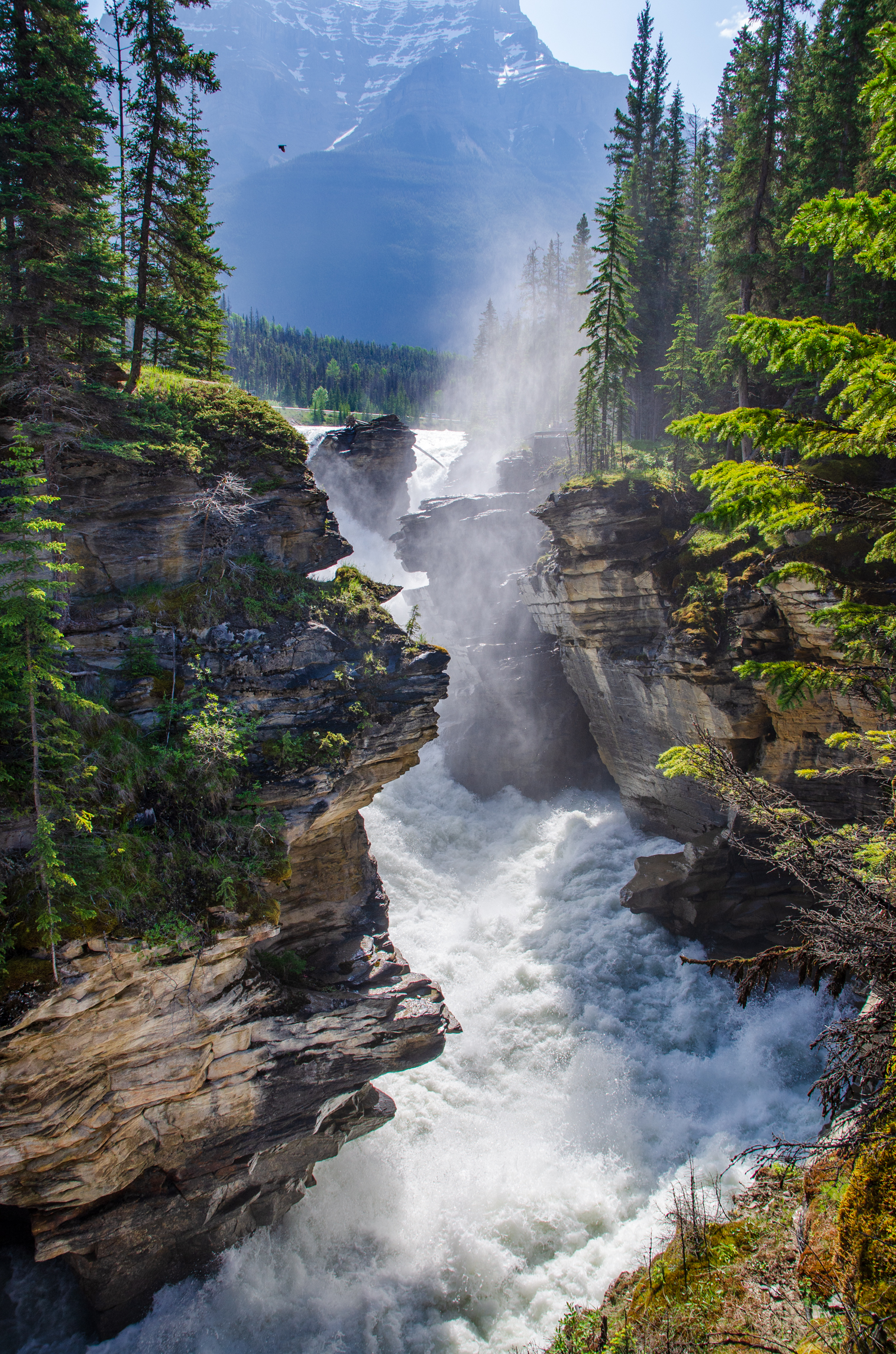 Athabasca Falls, Alberta
