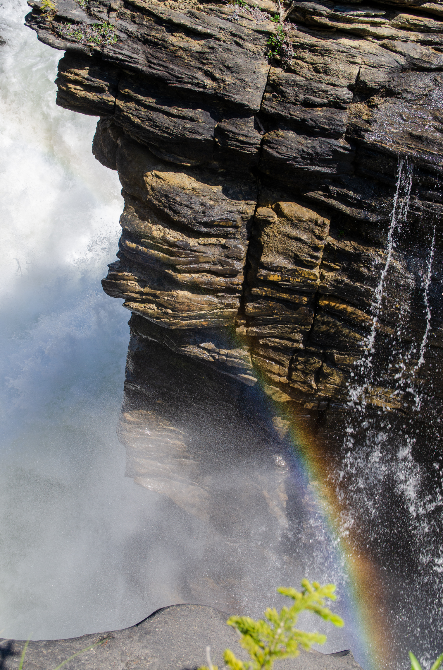 Athabasca Falls, Alberta