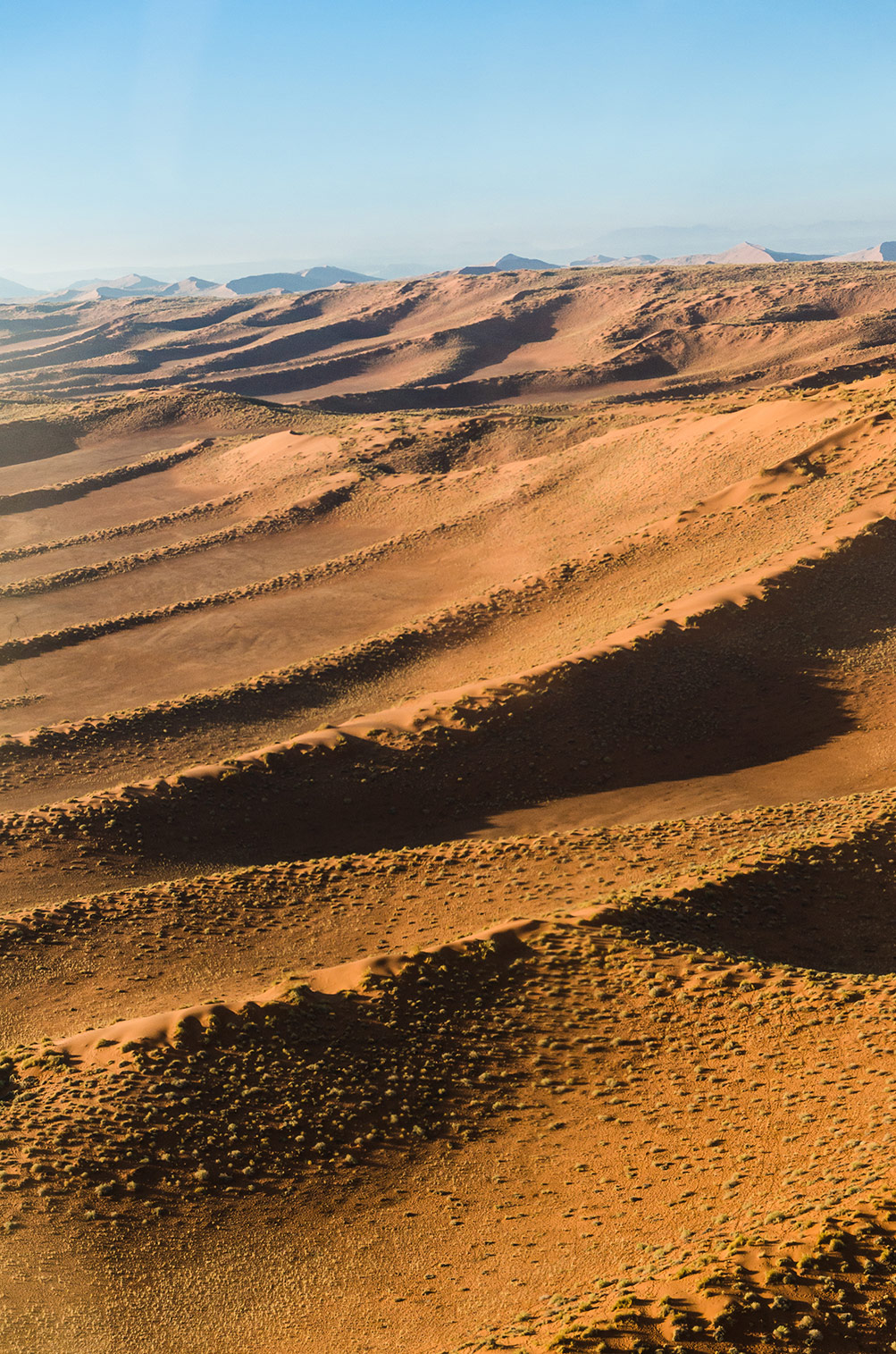 Namib Wüste