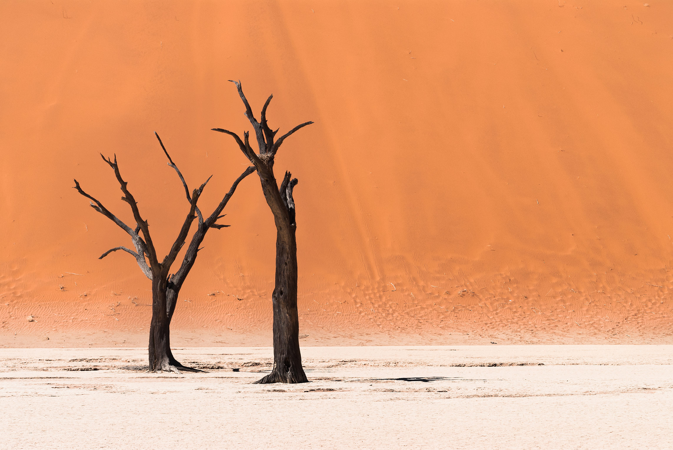 Deadvlei, Namib Wüste