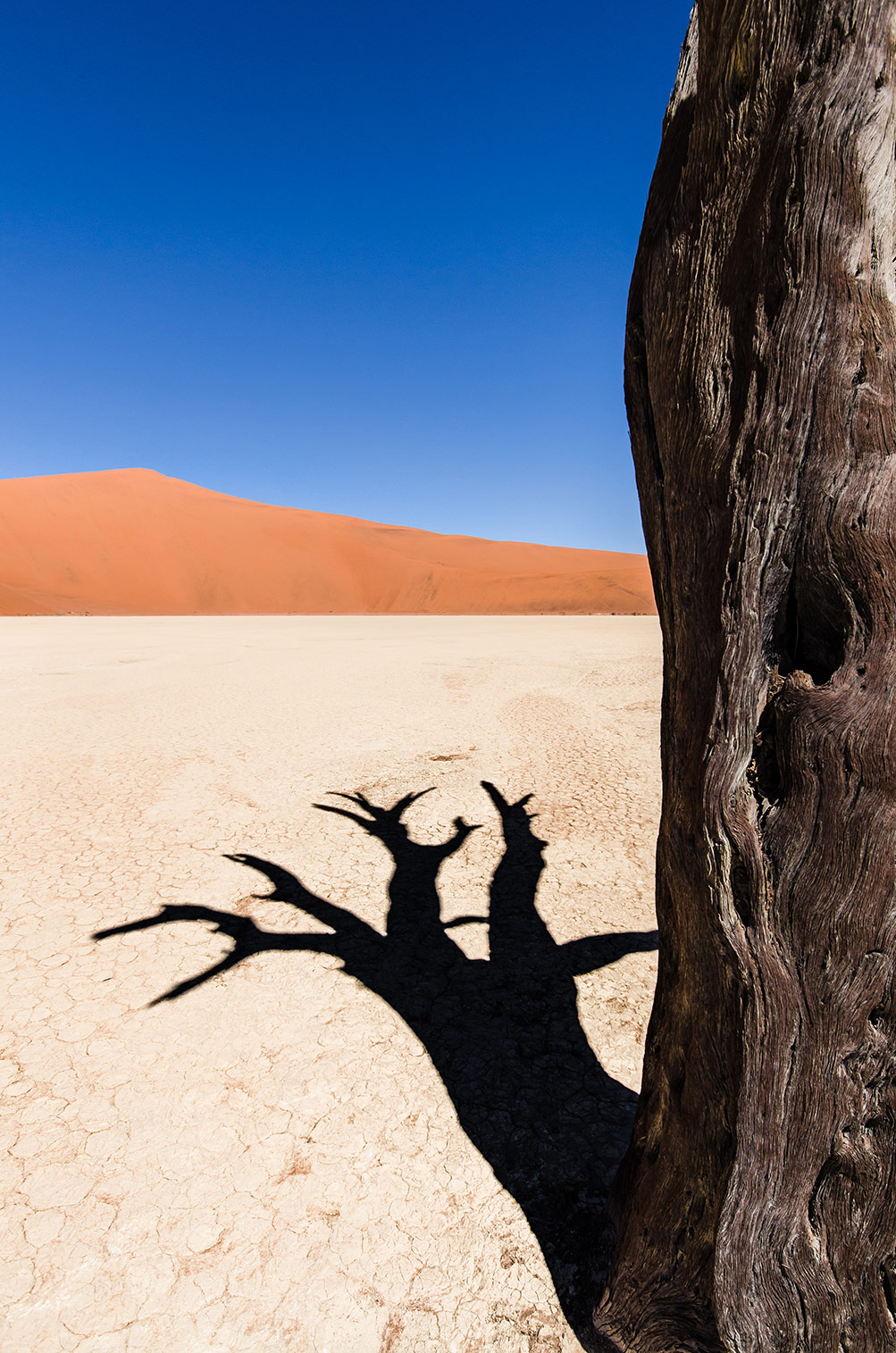 Deadvlei, Namib Wüste