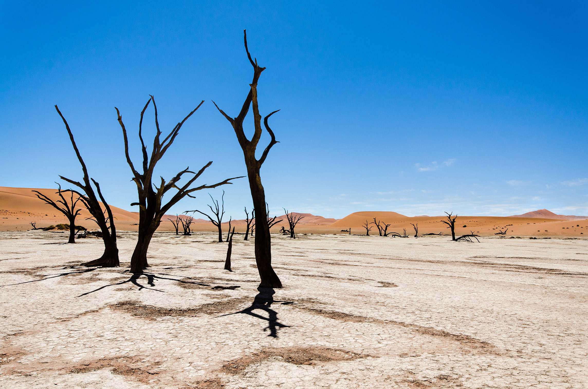 Deadvlei, Namib Wüste