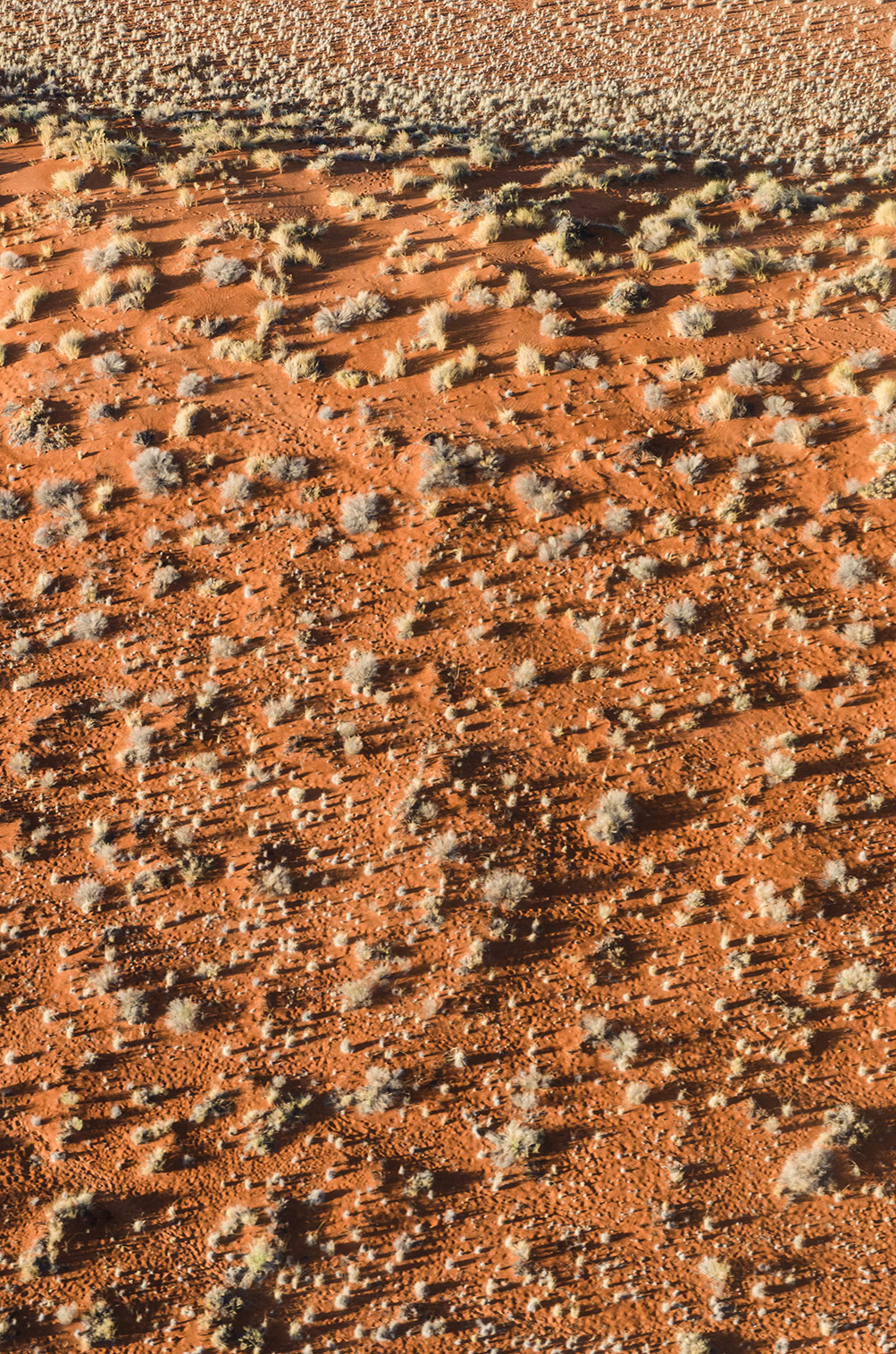 Namib Wüste
