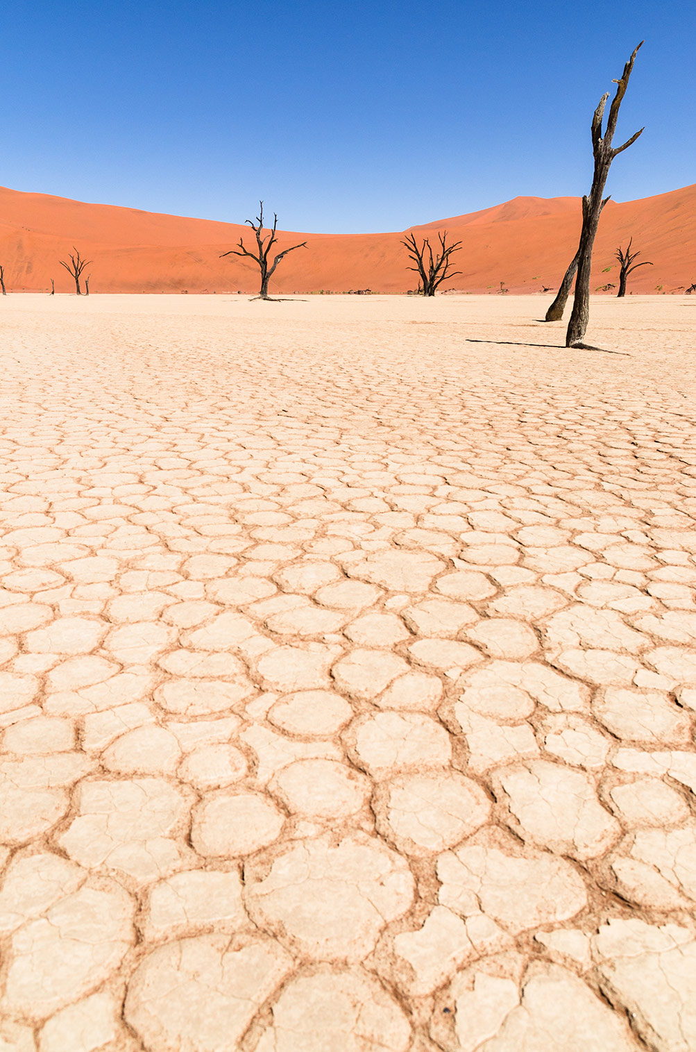 Deadvlei, Namib Wüste