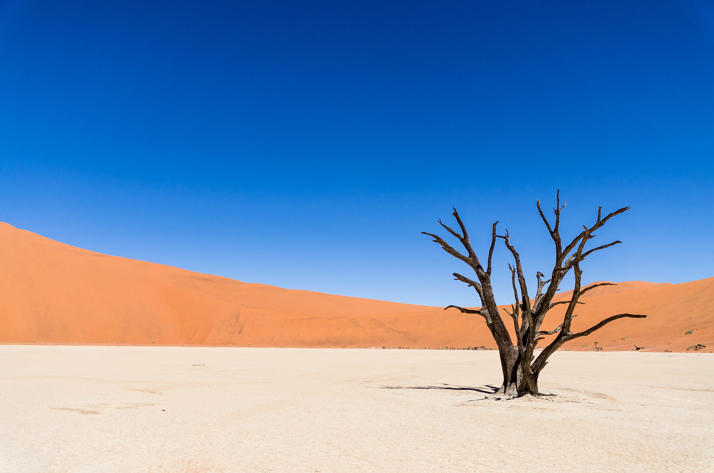 Deadvlei, Namib Wüste