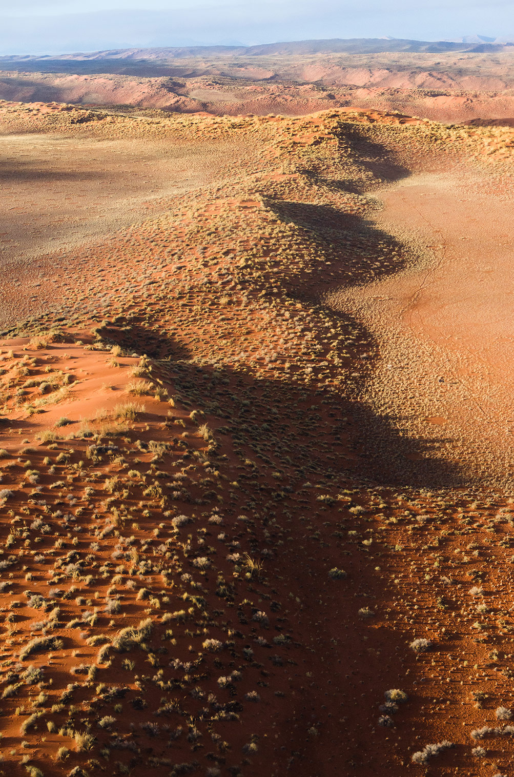 Namib Wüste