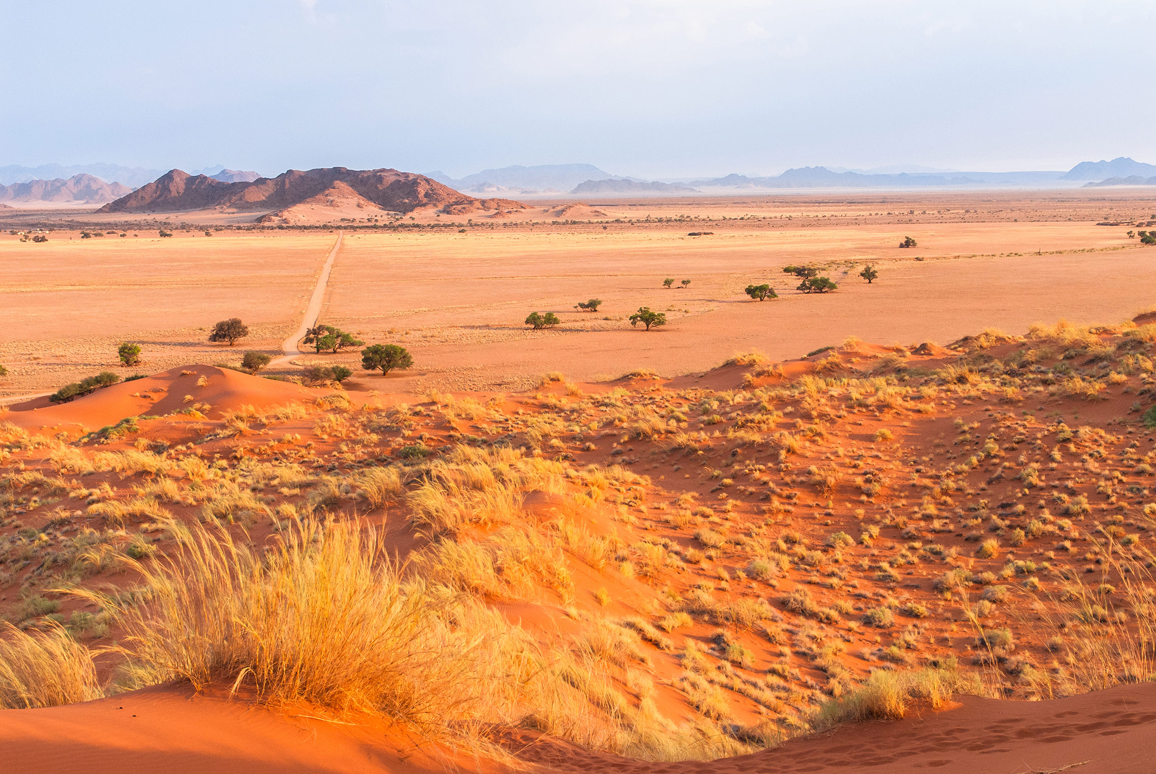 Namib Wüste mit Elim Dune im Vordergrund