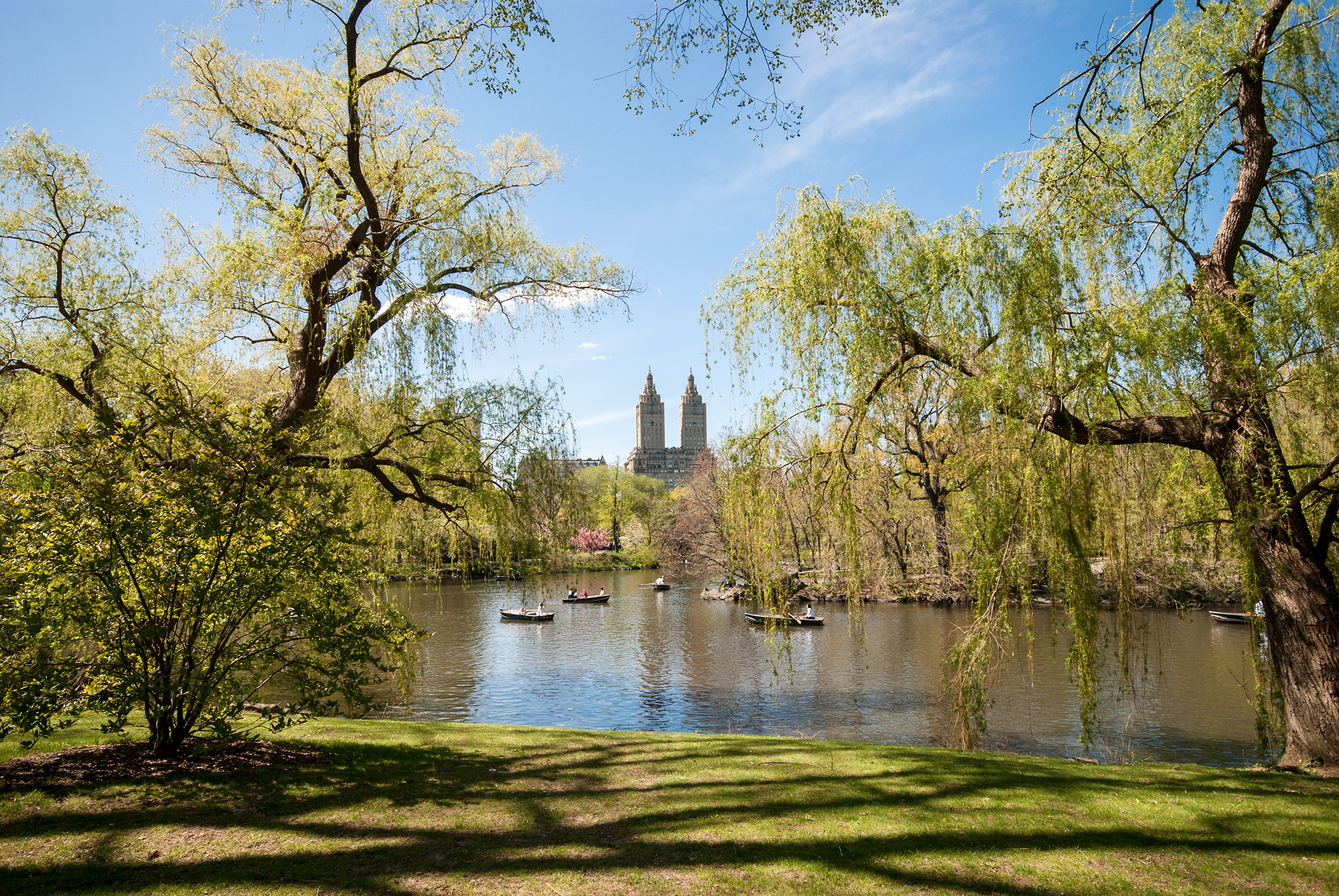 The Lake, Central Park