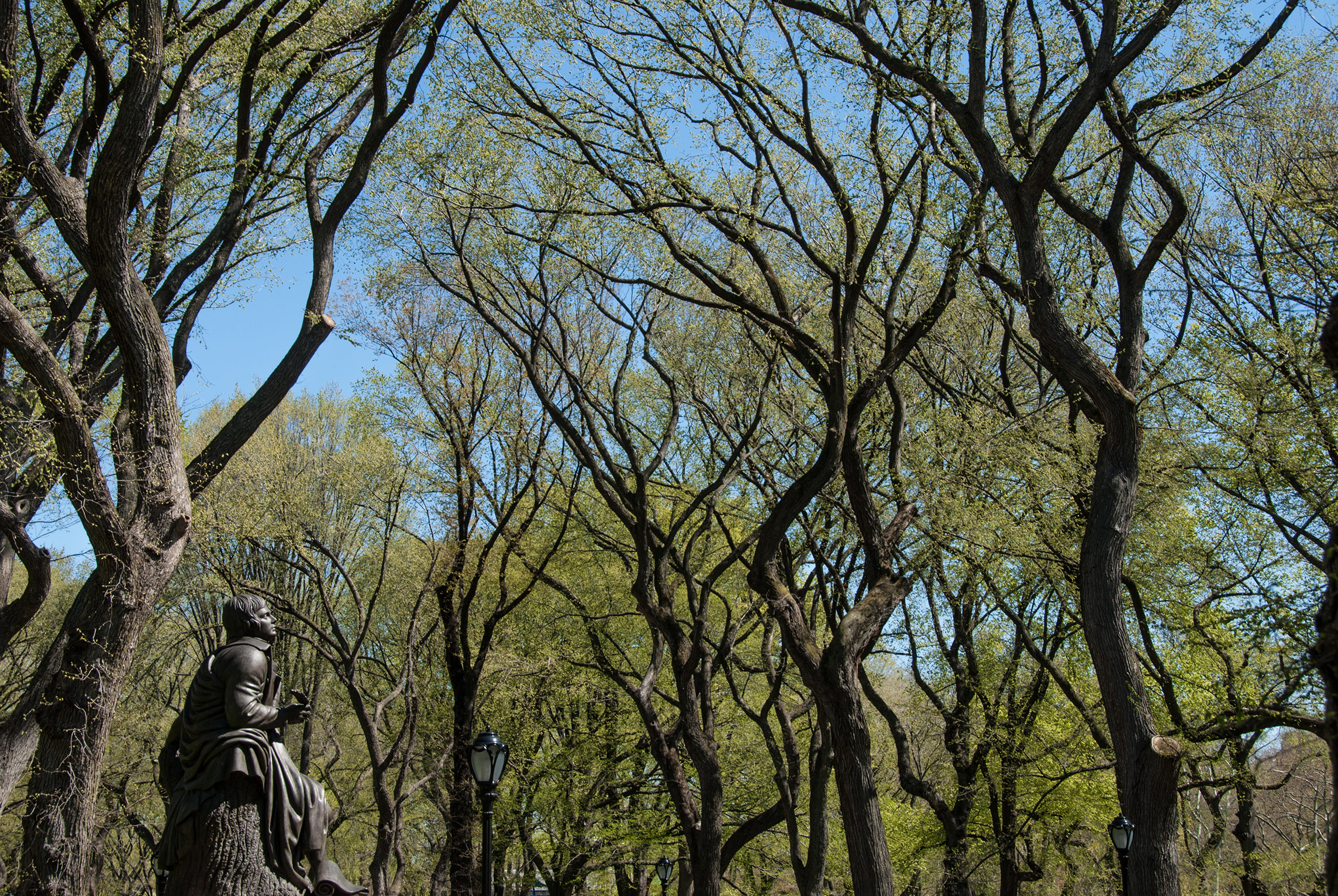 The Mall und Literary Walk, Central Park