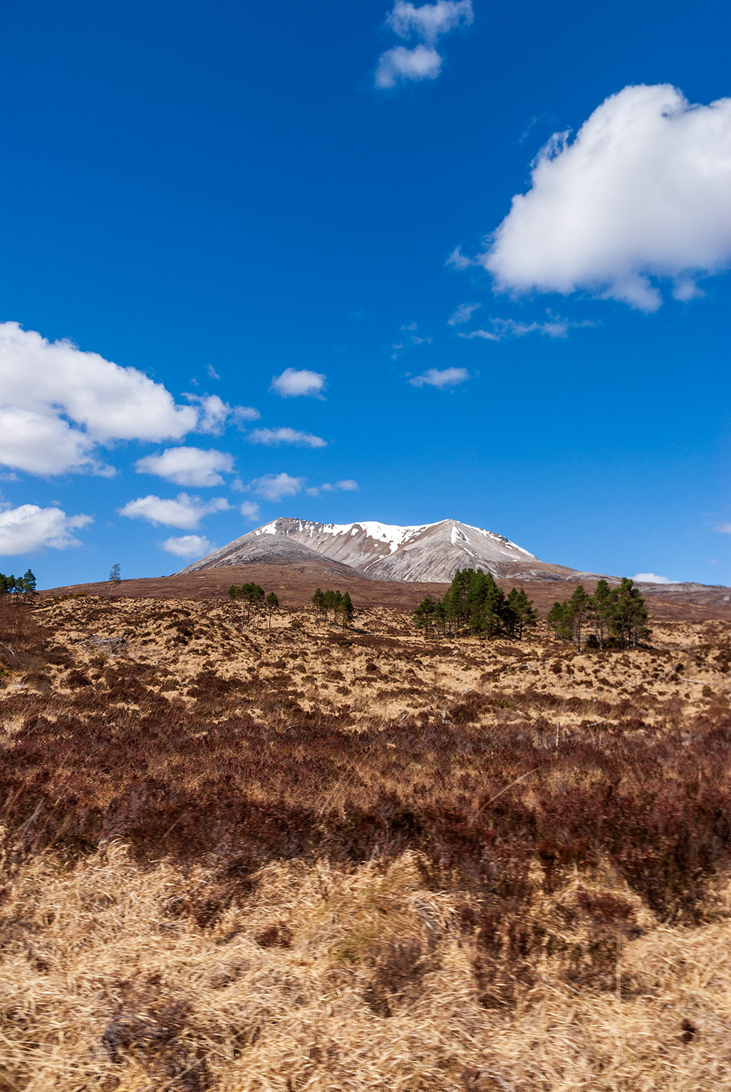 Berg bei Kinlochewe