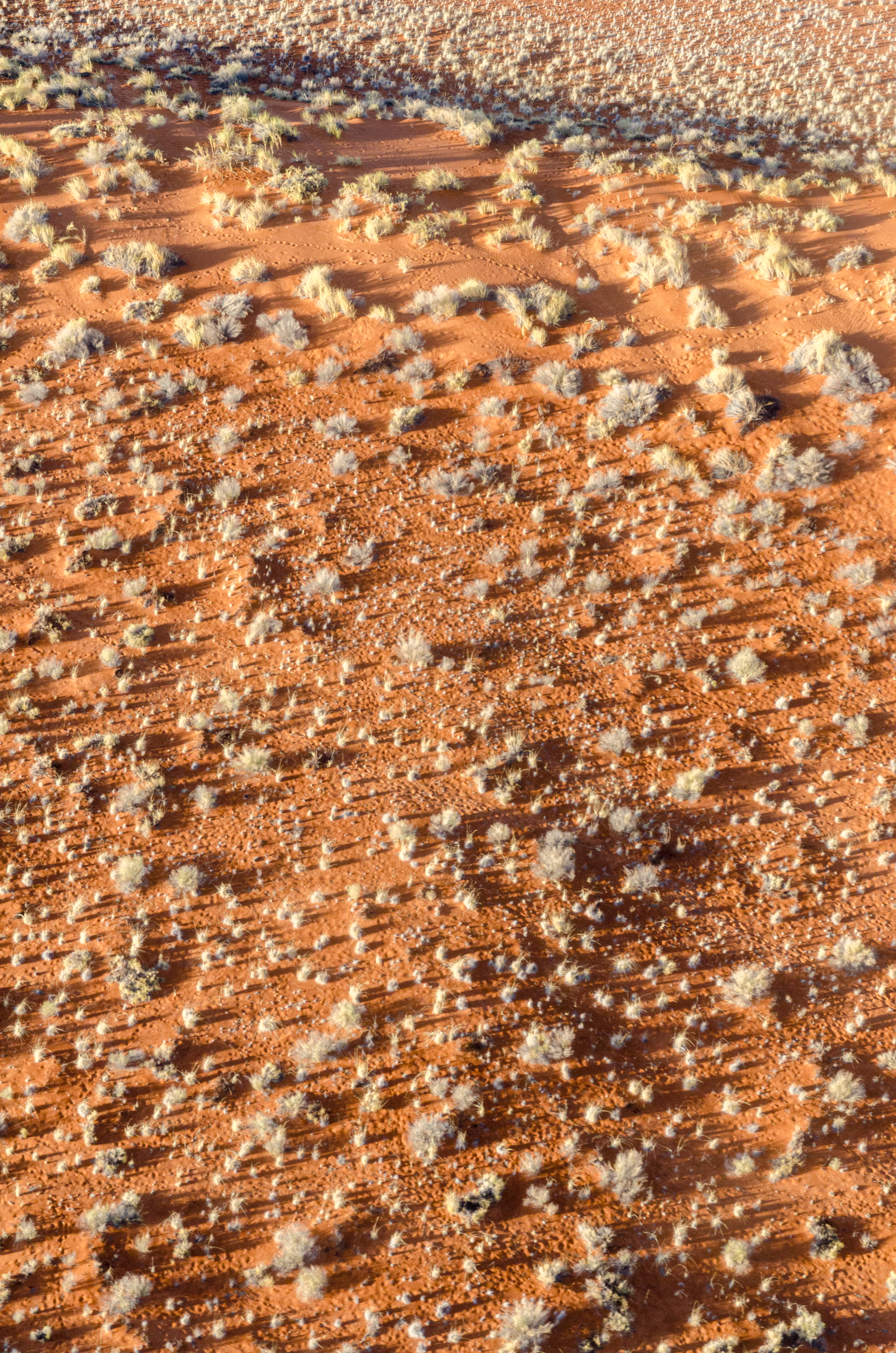 Namib Rand Nature Reserve, Namibia