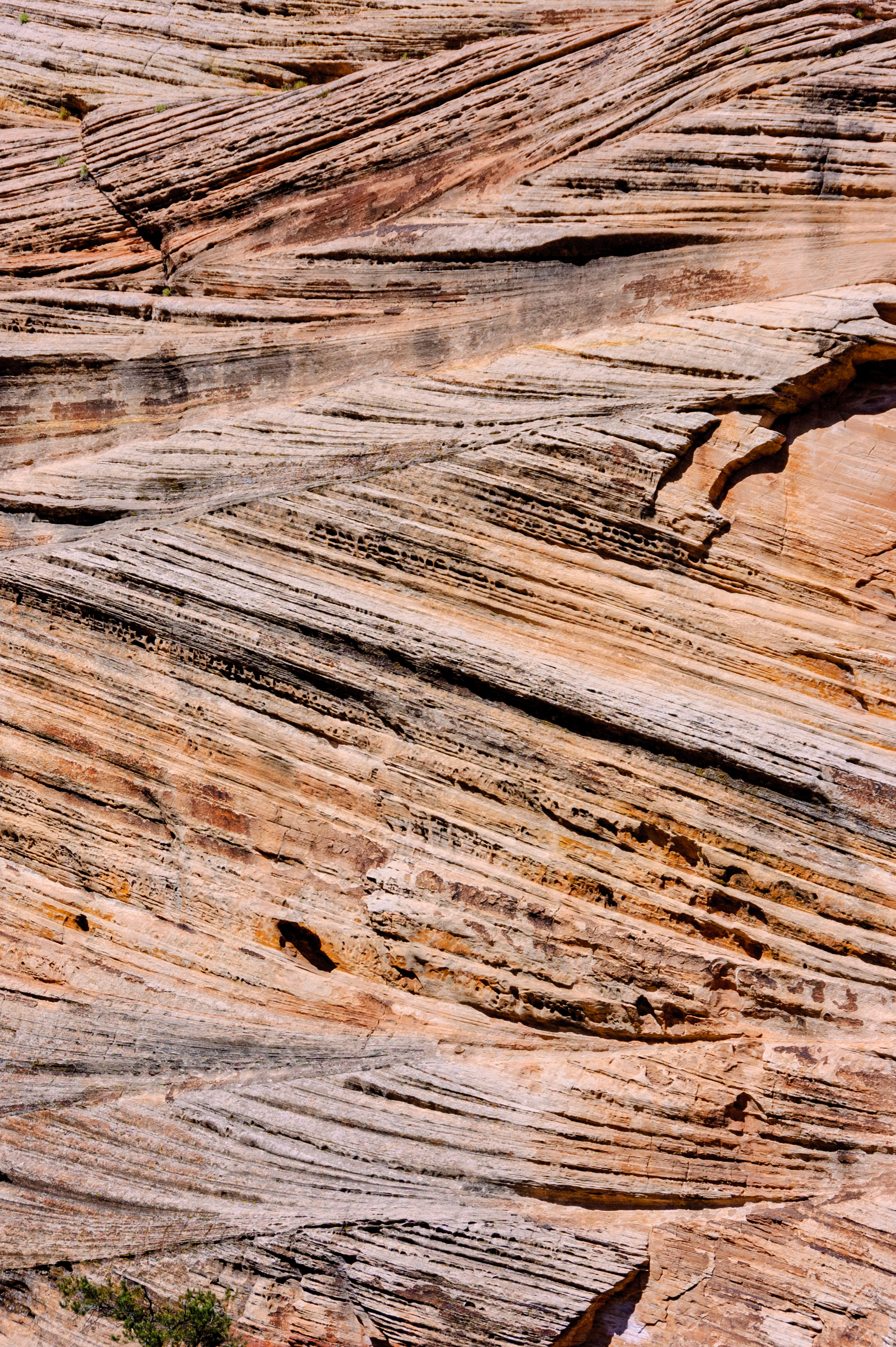 Felsen, Zion Nationalpark, Utah, USA