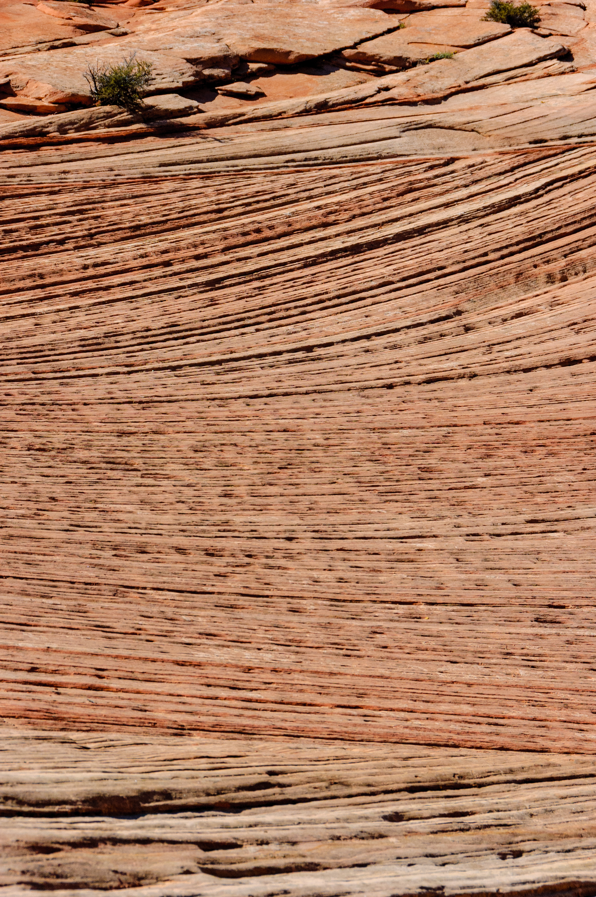 Felsen, Zion Nationalpark, Utah, USA