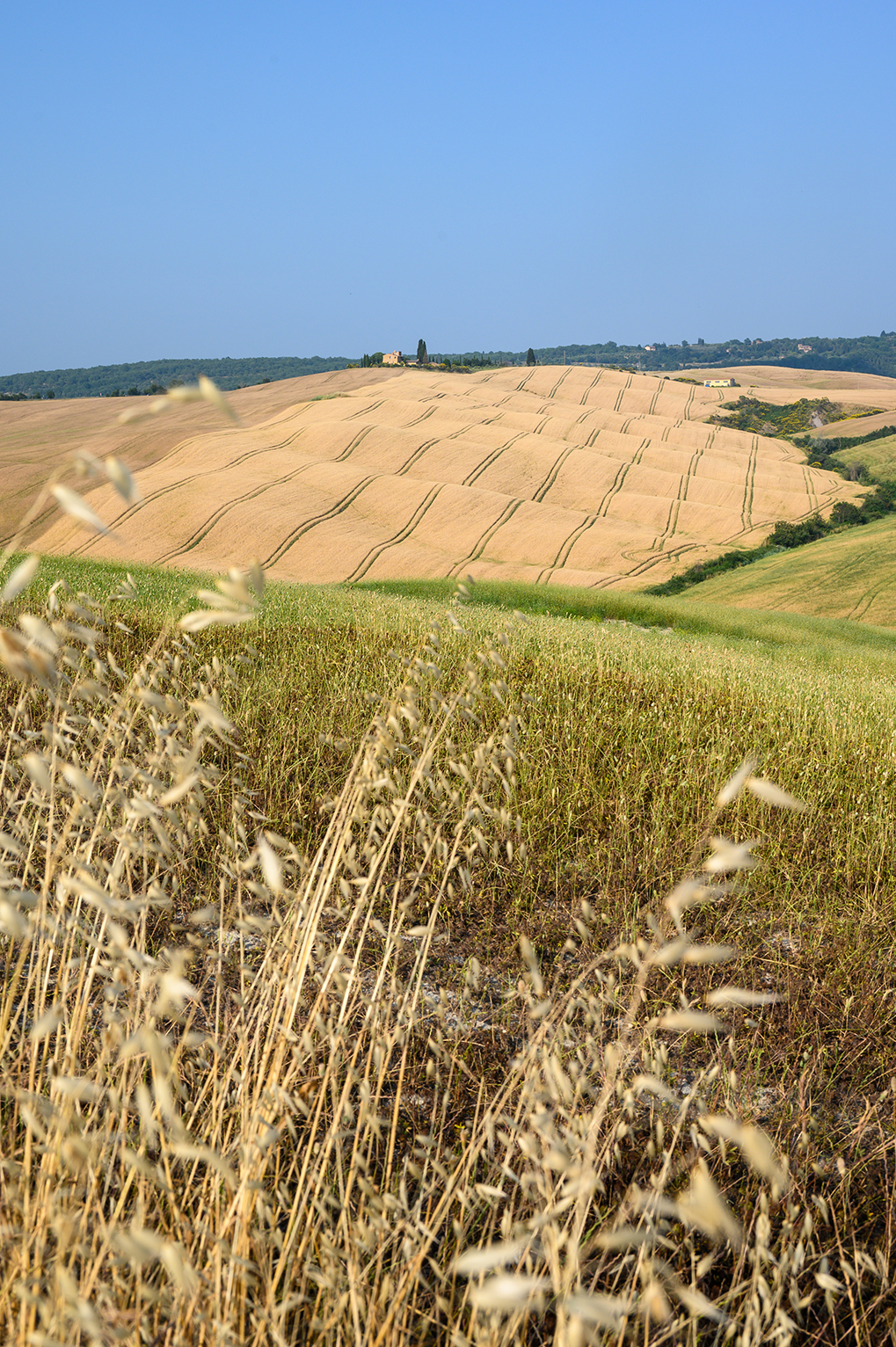 Val d'Orcia