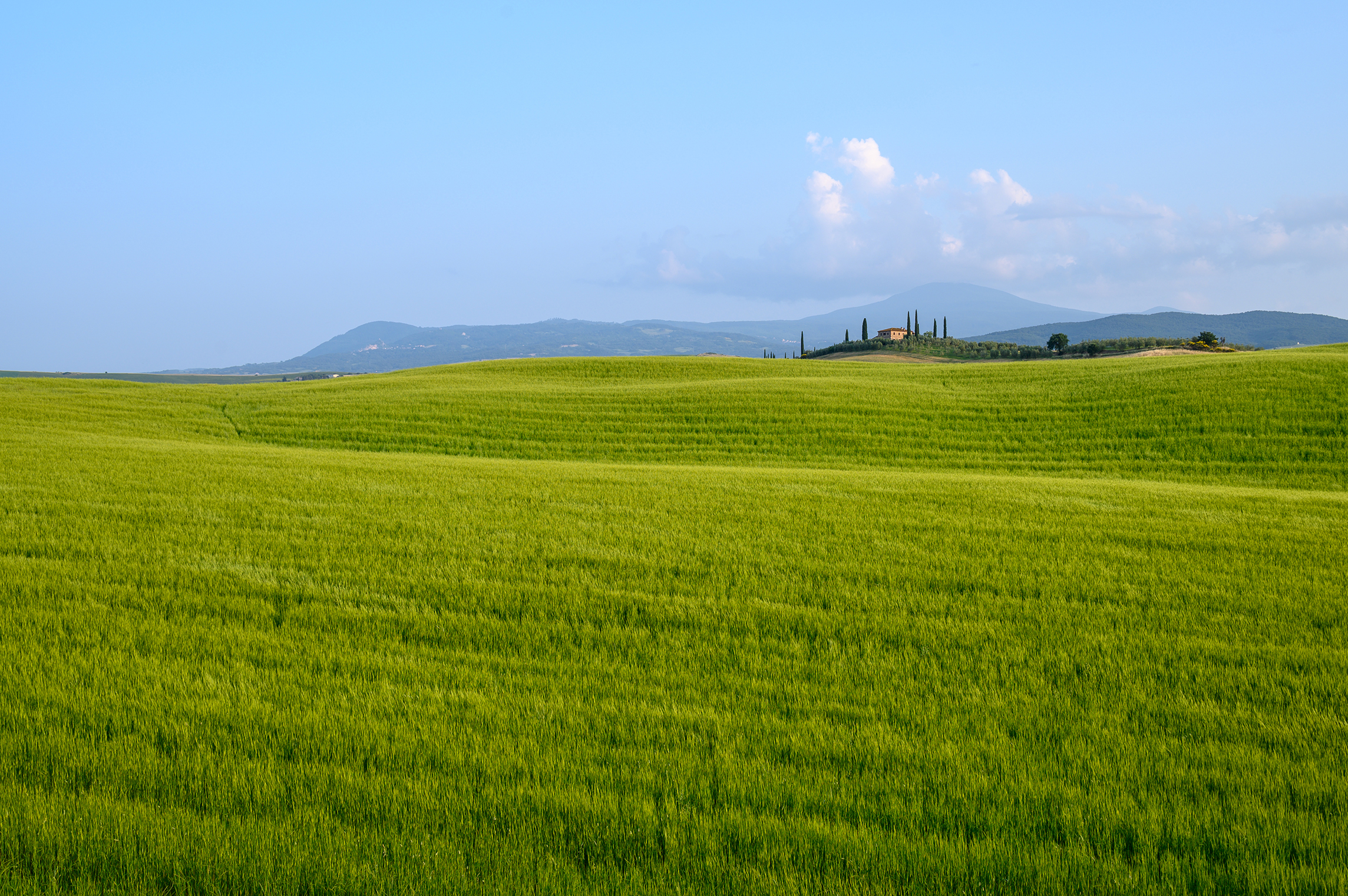 Val d'Orcia im Frühling