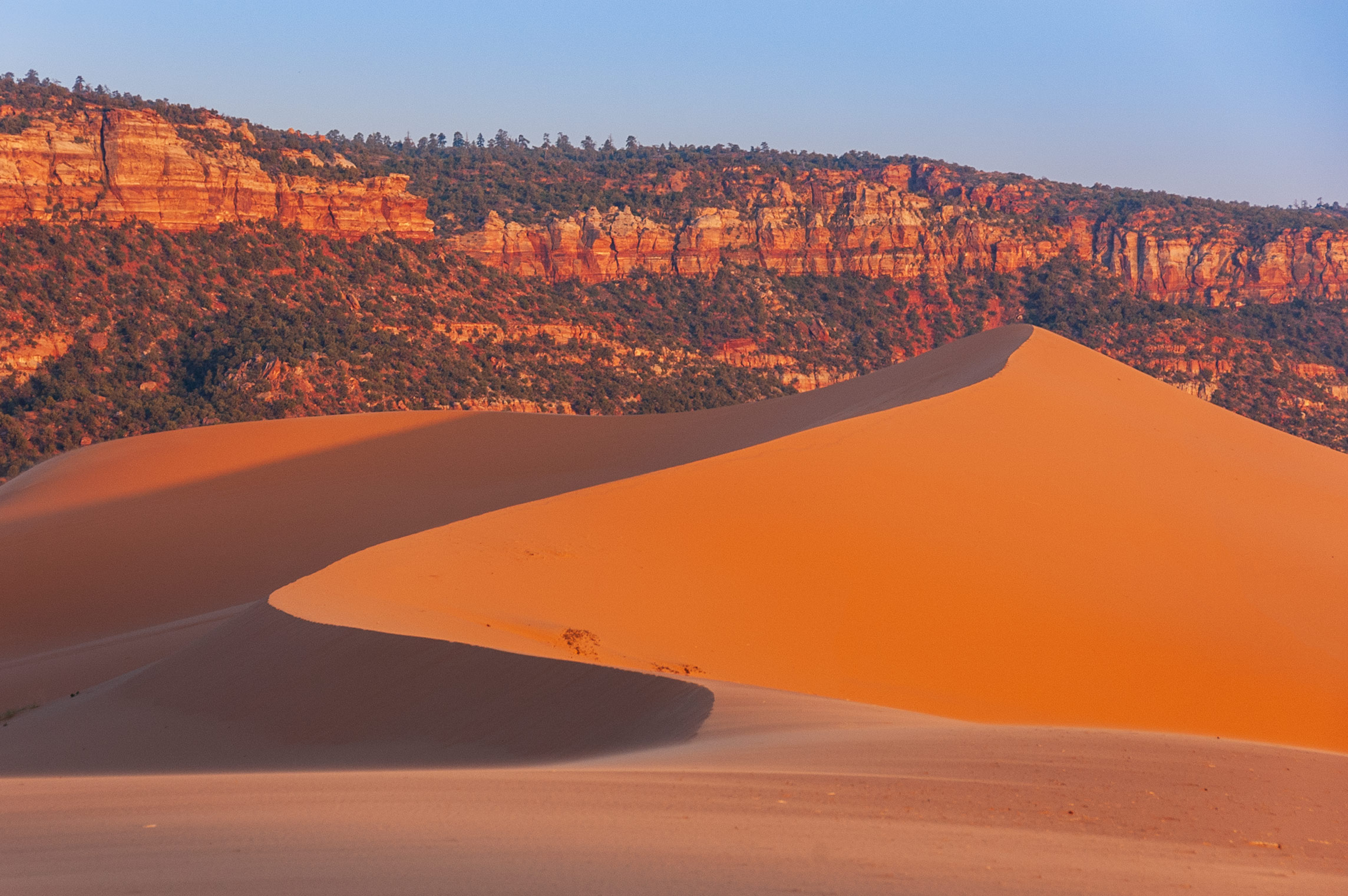 Coral Pink Sand Dunes State Park, Utah