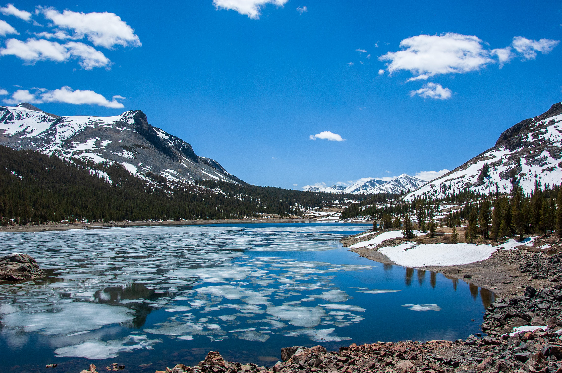 »Tioga Lake«, Yosemite Nationalpark